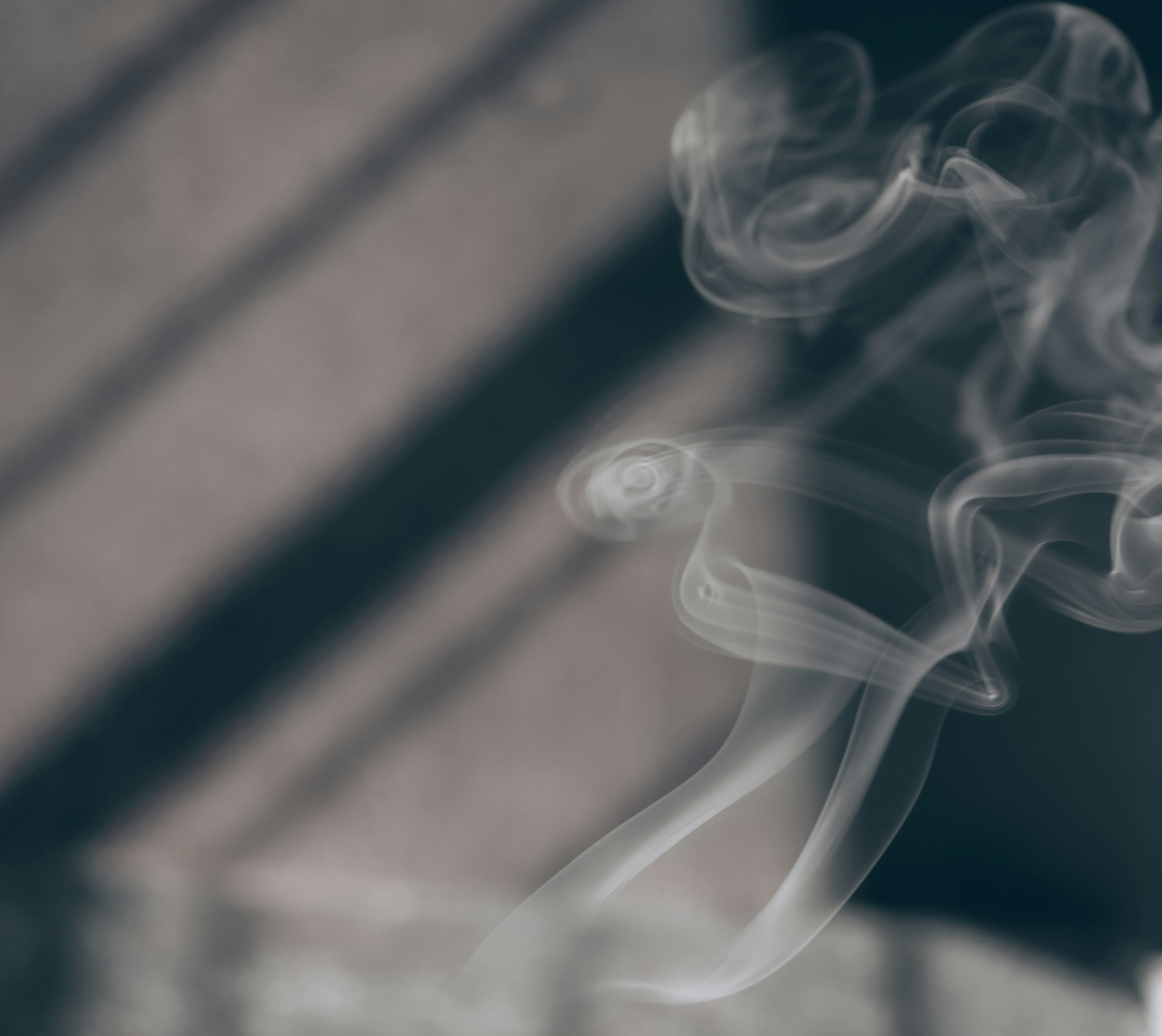 What Does Oud Actually Smell Like?
