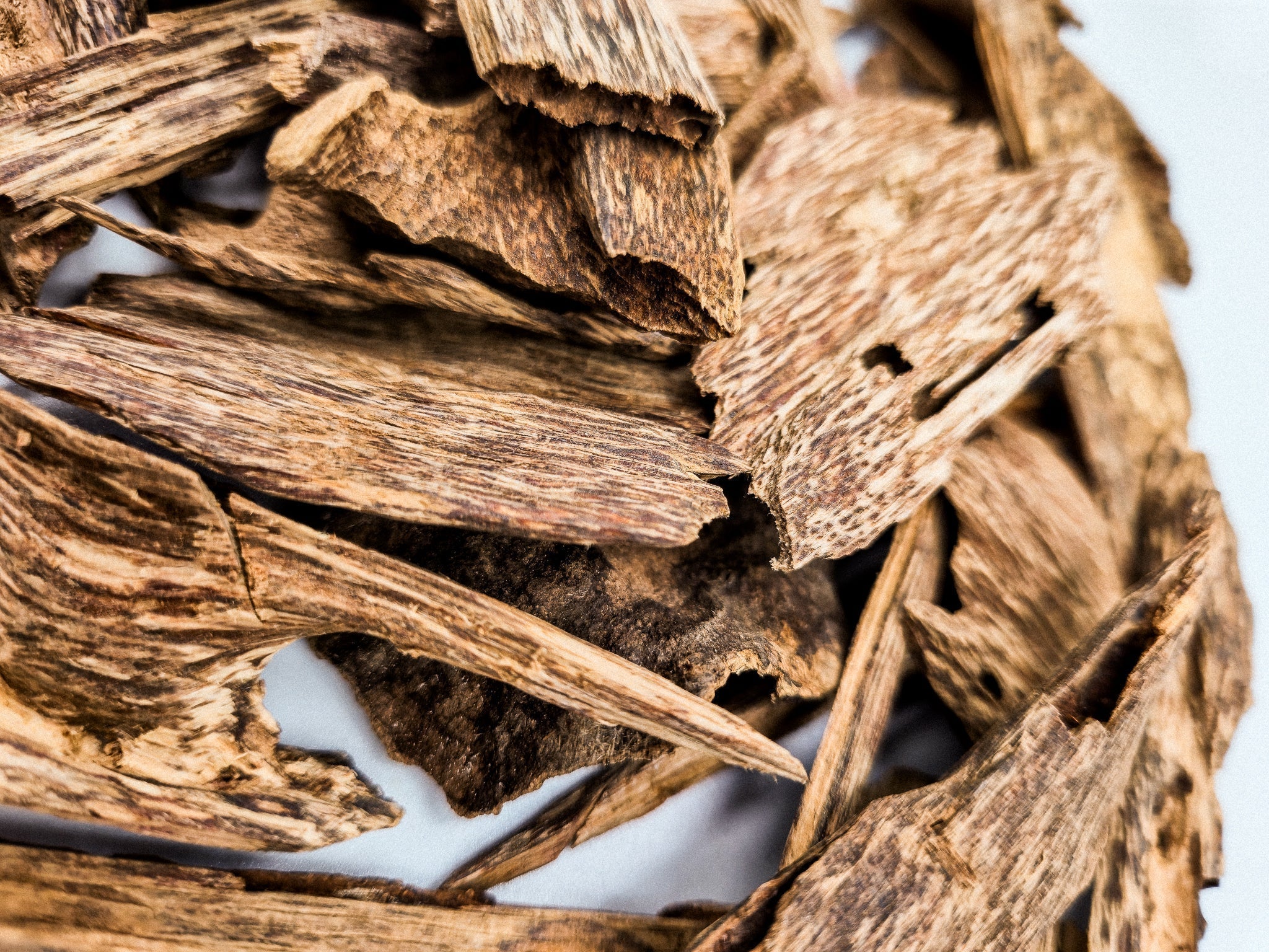 What Is Agarwood, and Why Is It So Expensive?